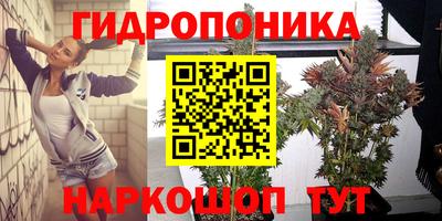 гашик Балашиха