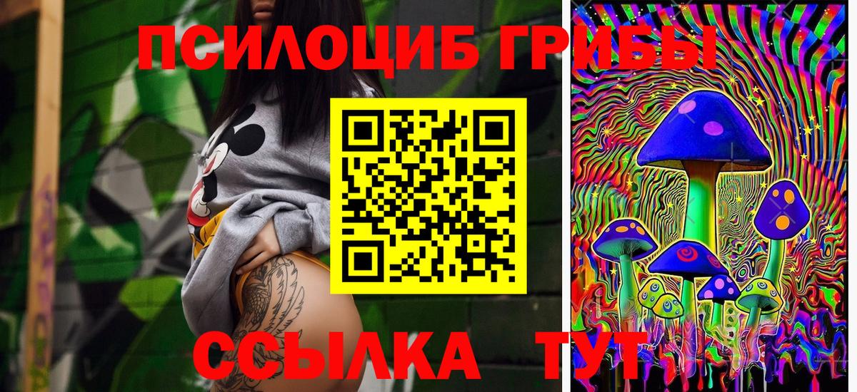 Псилоцибиновые грибы мицелий Волгоград