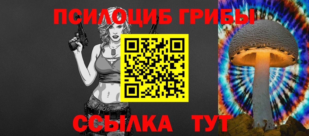 Галлюциногенные грибы GOLDEN TEACHER Волгоград