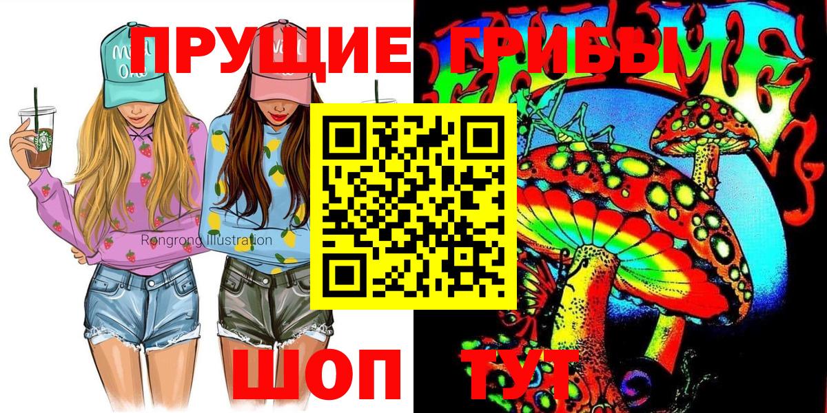 Волгоград  Псилоцибиновые грибы Psilocybine cubensis  Вход с VPN 